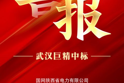 热烈祝贺杏鑫娱乐中标国网陕西省电力有限公司2022年第三次物资集中规模招标采购项目