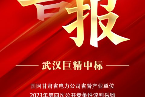 热烈祝贺杏鑫娱乐中标国网甘肃省电力公司省管工业单位2023年第四次果真竞争性谈判采购（张掖金源物资项目）