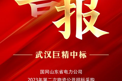 热烈祝贺杏鑫娱乐中标国网山东省电力公司2023年第二次物资果真招标采购